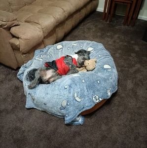 Meet your Posher, Shirlz